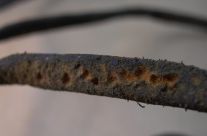 Detaljbild av tömmar
med kraftiga 
skadedjursangrepp.
Skansen